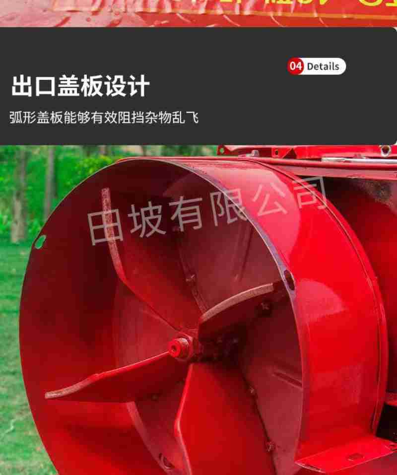 2013年12月19日,杨丽萍(左)在云南昆明表演大型舞剧《孔雀》。中新社记者 刘冉阳 摄